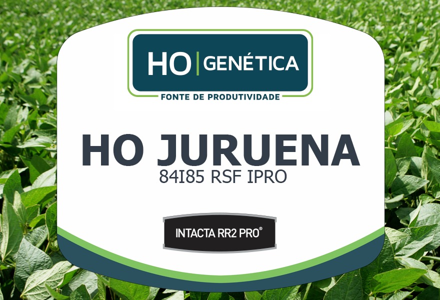 JURUENA  84I85RSF IPRO RO - 0